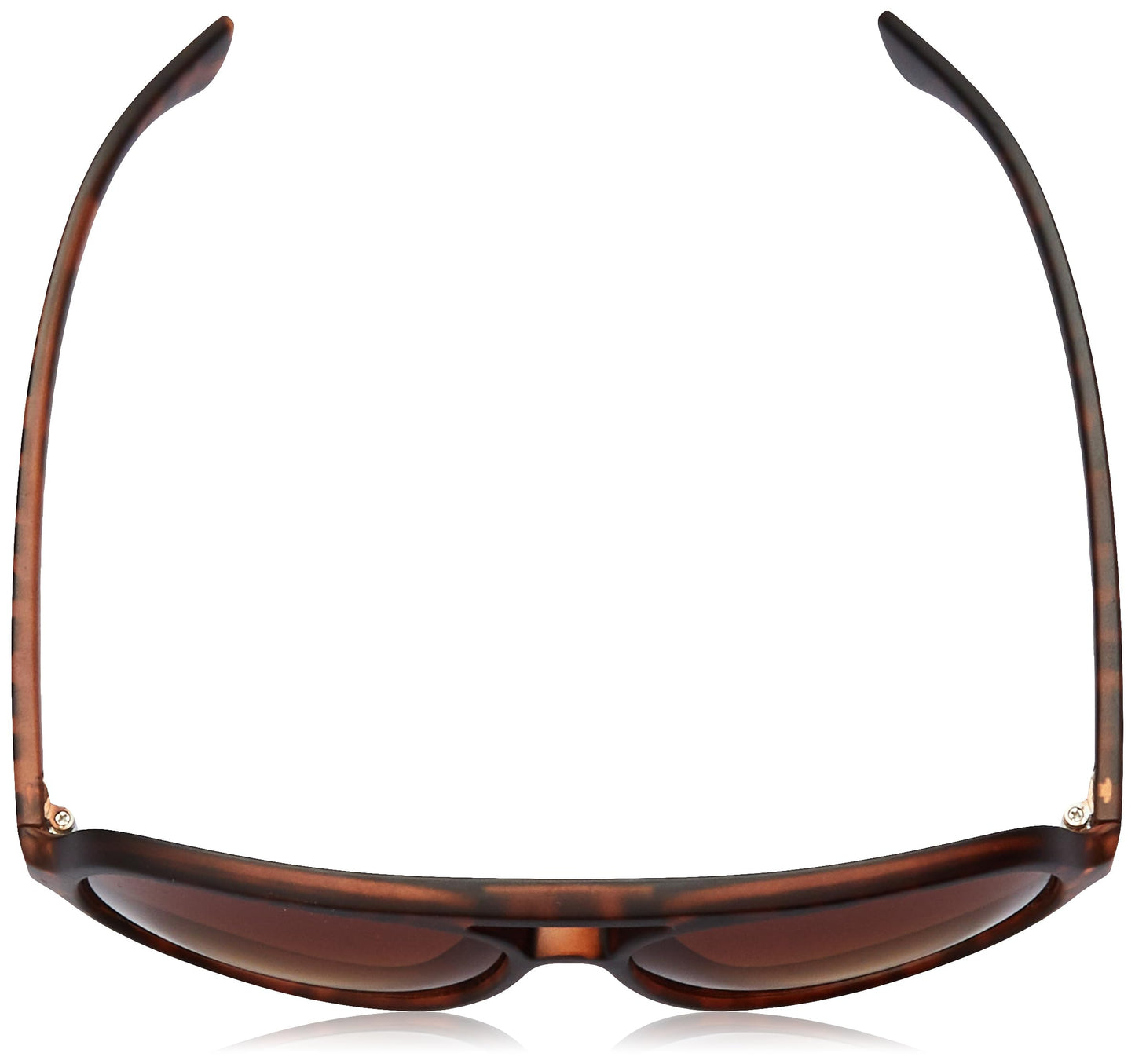 Fastrack Brown Aviator 100% UV protected Sunglasses for Men